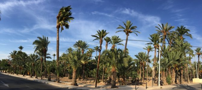 Beaches, Palm Trees, Moros & Cristianos